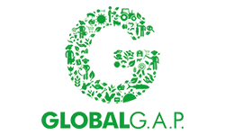 global_gap_logo